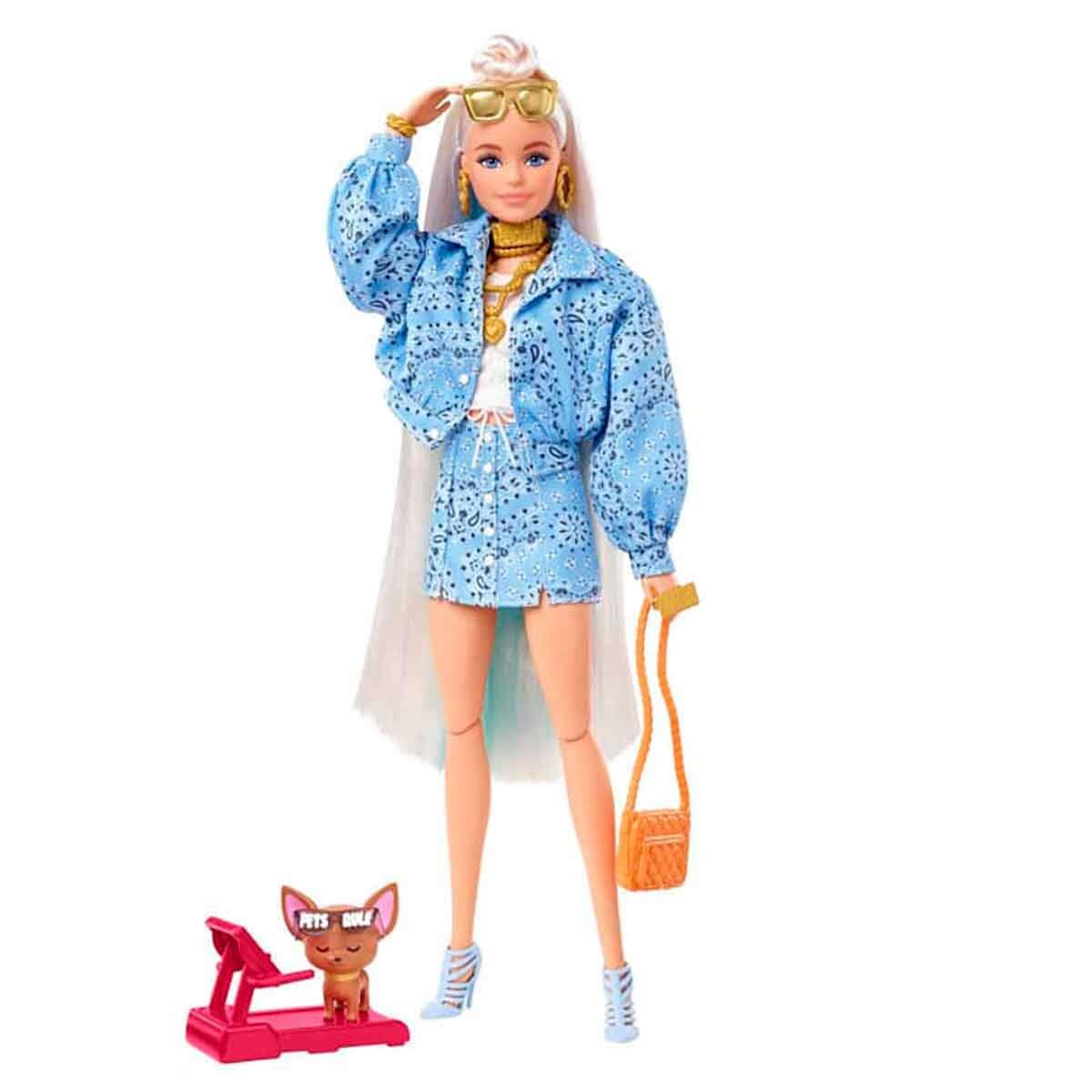 Barbie Ekstra Bebek ve Aksesuarları