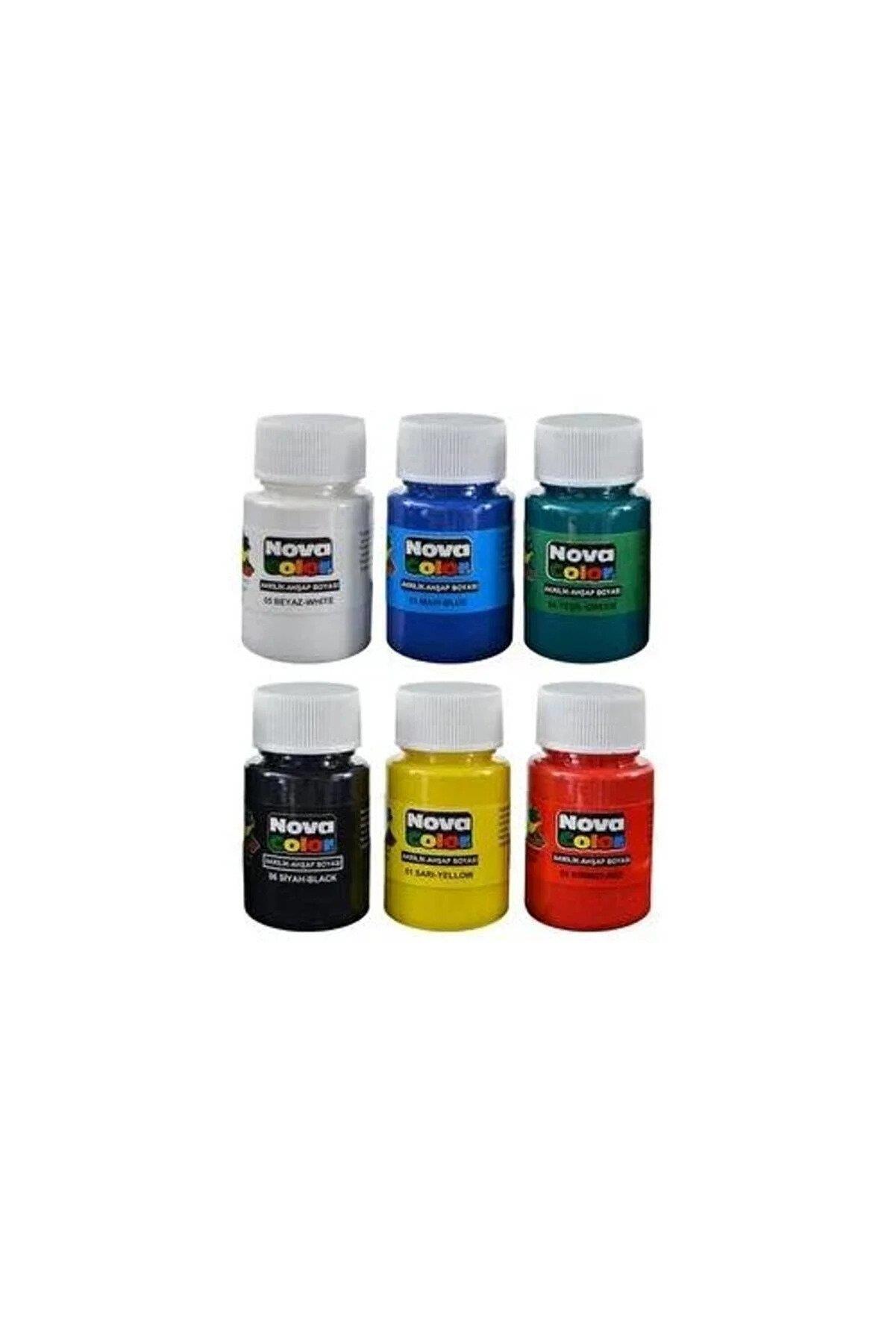 Nova Color Akrilik Boya Sise 6 Renk x 17 ML Akrilik Boya
