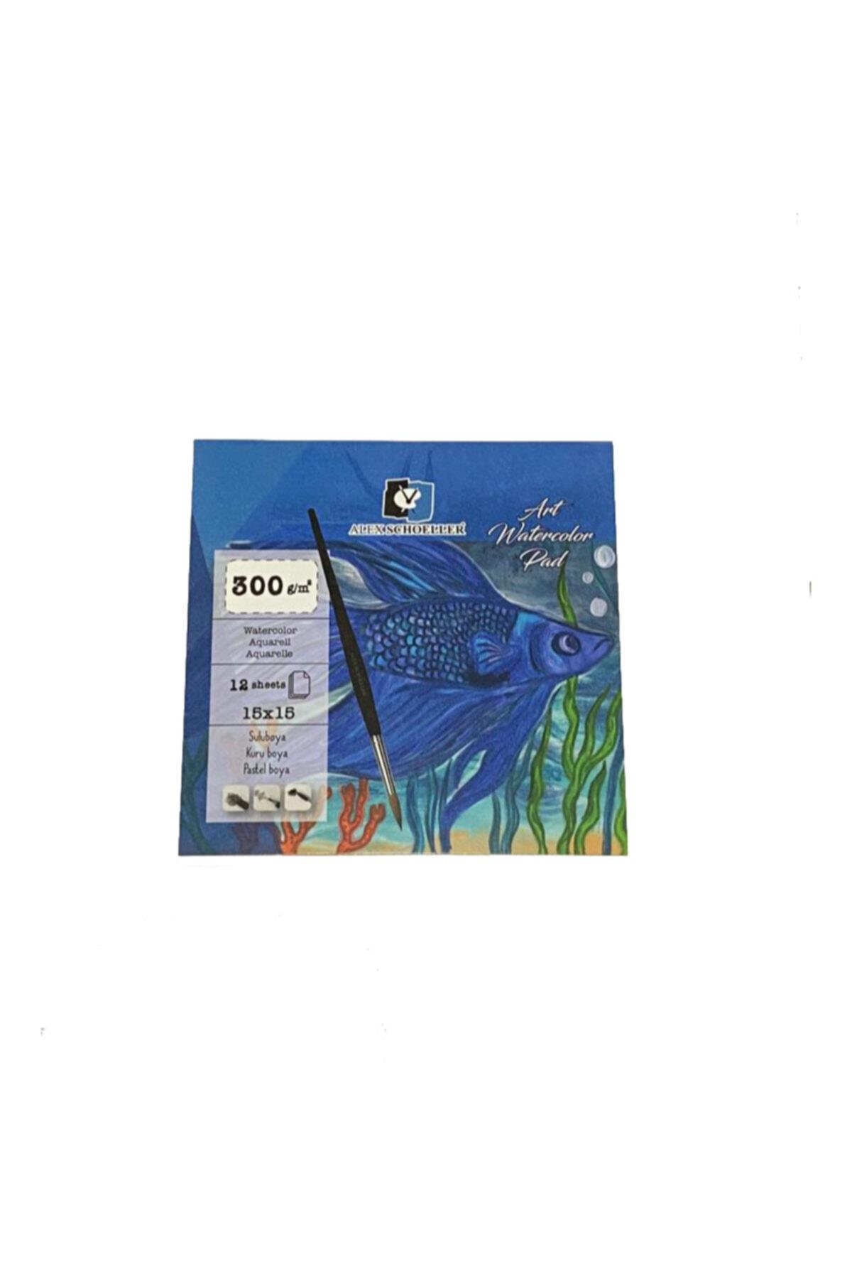 Alex Schoeller Art Sulu Boya Defteri 15x15 300 GR 12 Li ALX-8837