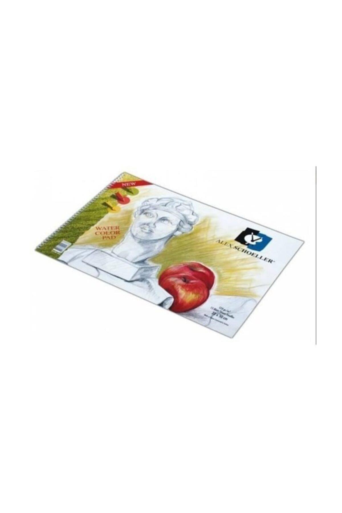 Alex Schoeller Resim Defteri Spiralli 15 YP 25x35 120 GR 826