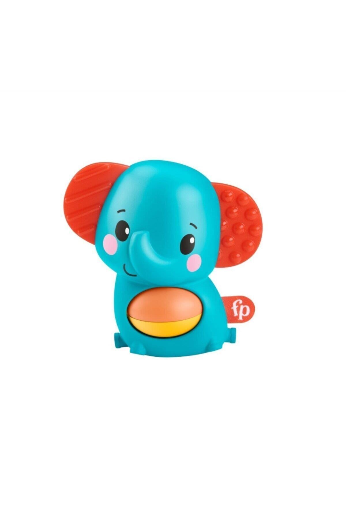 Fisher Price Mini Hayvancıklar (Karışık Model 1 Adet)