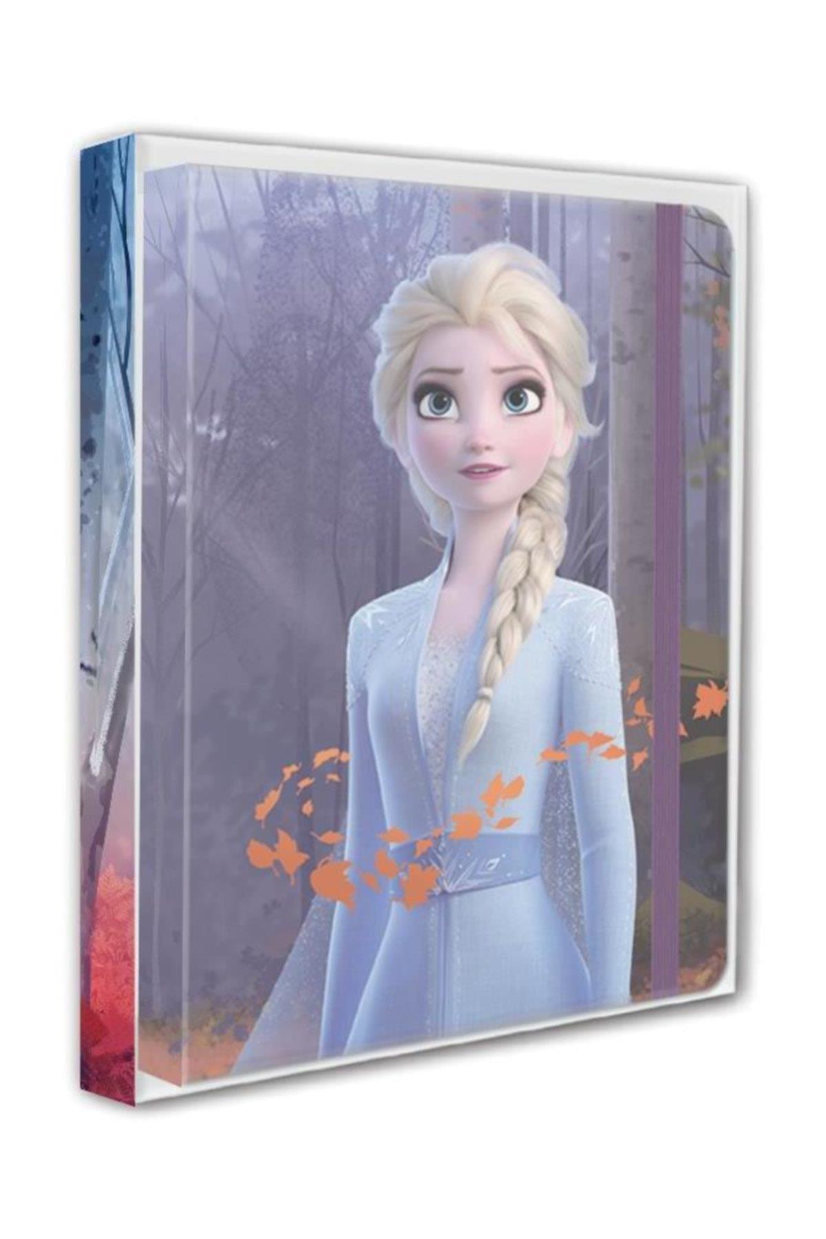 Keskin Color Defter Frozen Lastikli Ciltli Çizgili 100 YP 13x18 410300-92