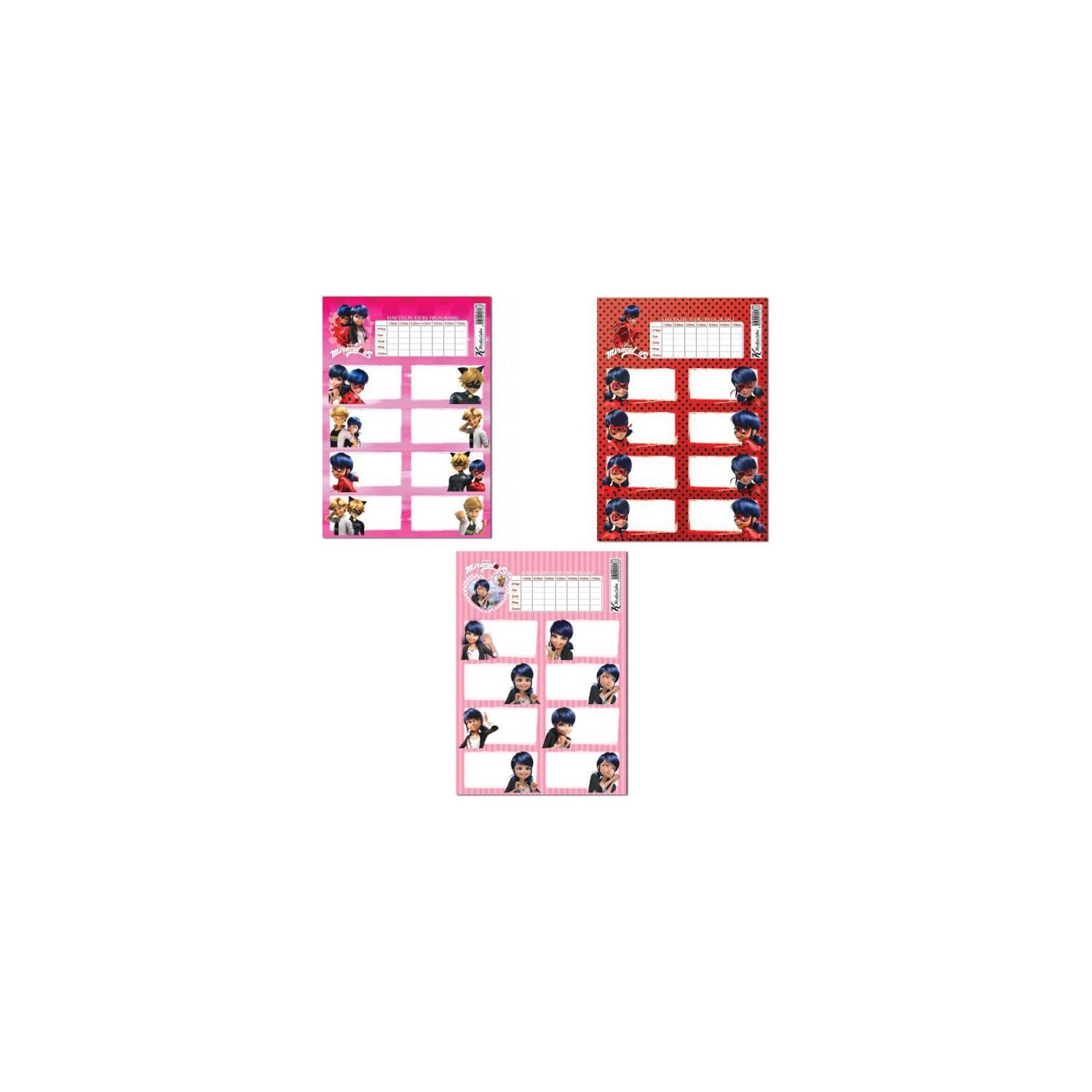 Keskin Color Okul Etiketi Lady Bug Ders Proğramlı 3 LÜ 220130-84