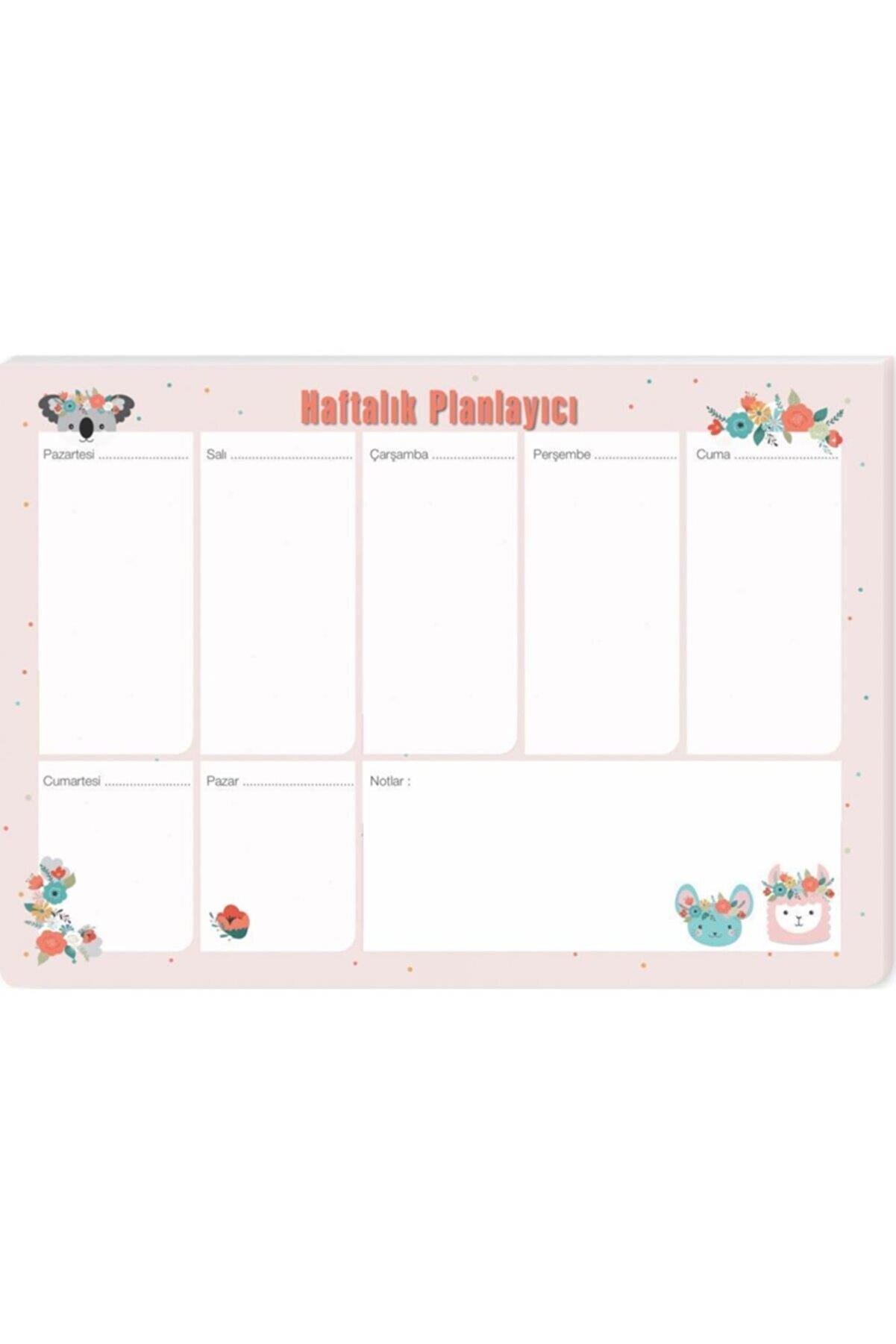 Keskin Color Planner Koalalama Masa Üstü Haftalık Planlayıcı 17x24 Cm 52 Yaprak