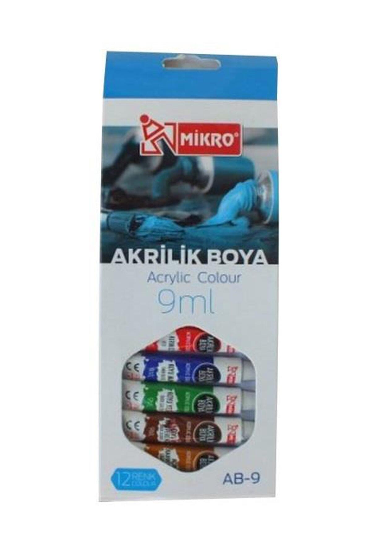 Mikro Akrilik Boya Tüp 9 ML 12 Renk AB-09