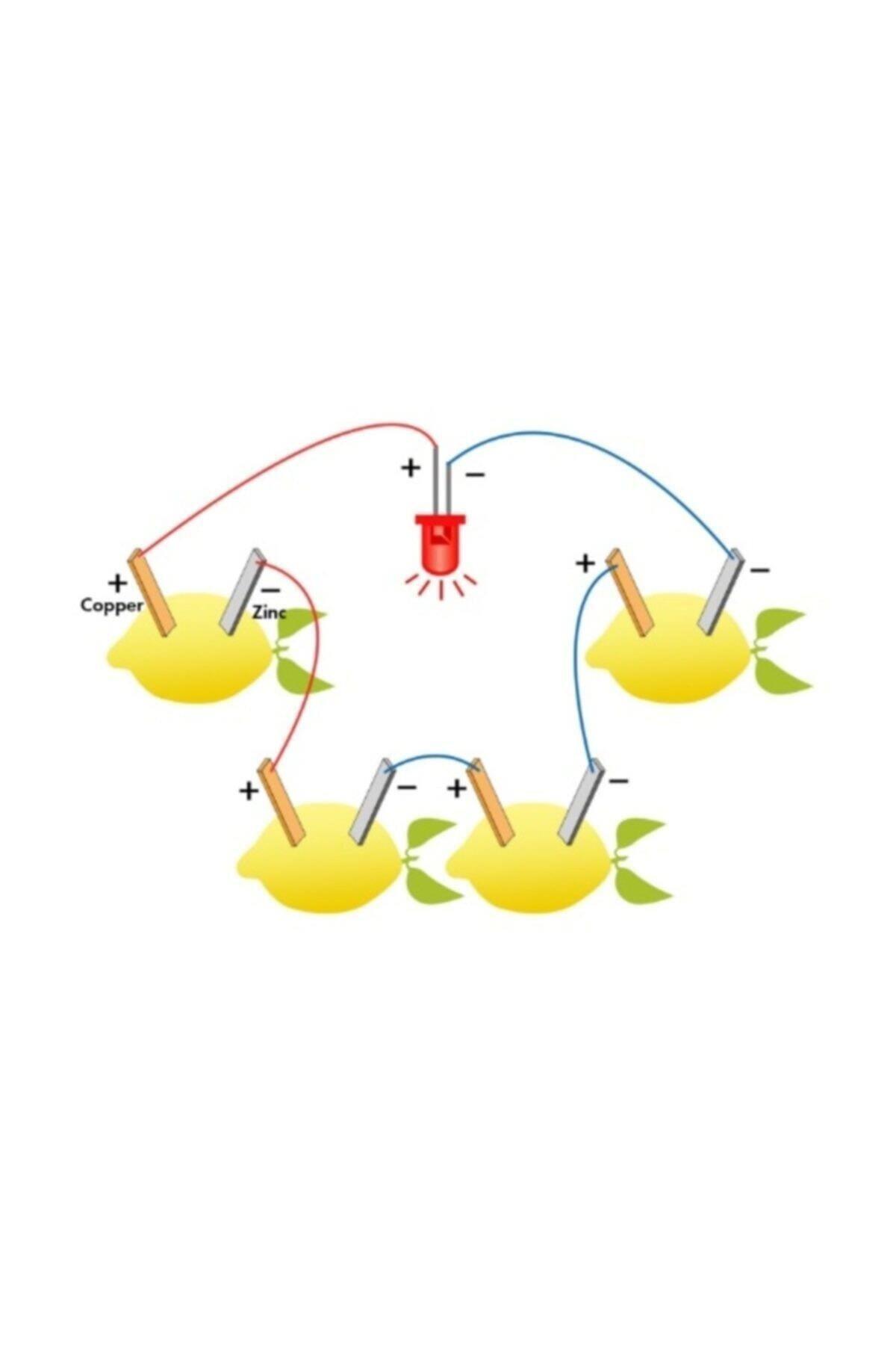 Misyon Limon Deney Seti Limondan Elektrik Üretimi Yapım Seti Limon Pili
