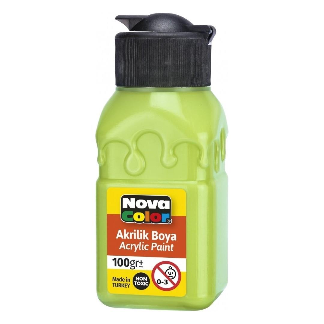 Nova Color Akrilik Boya Şişe 100 Cc Açık Yeşil Nc-2021
