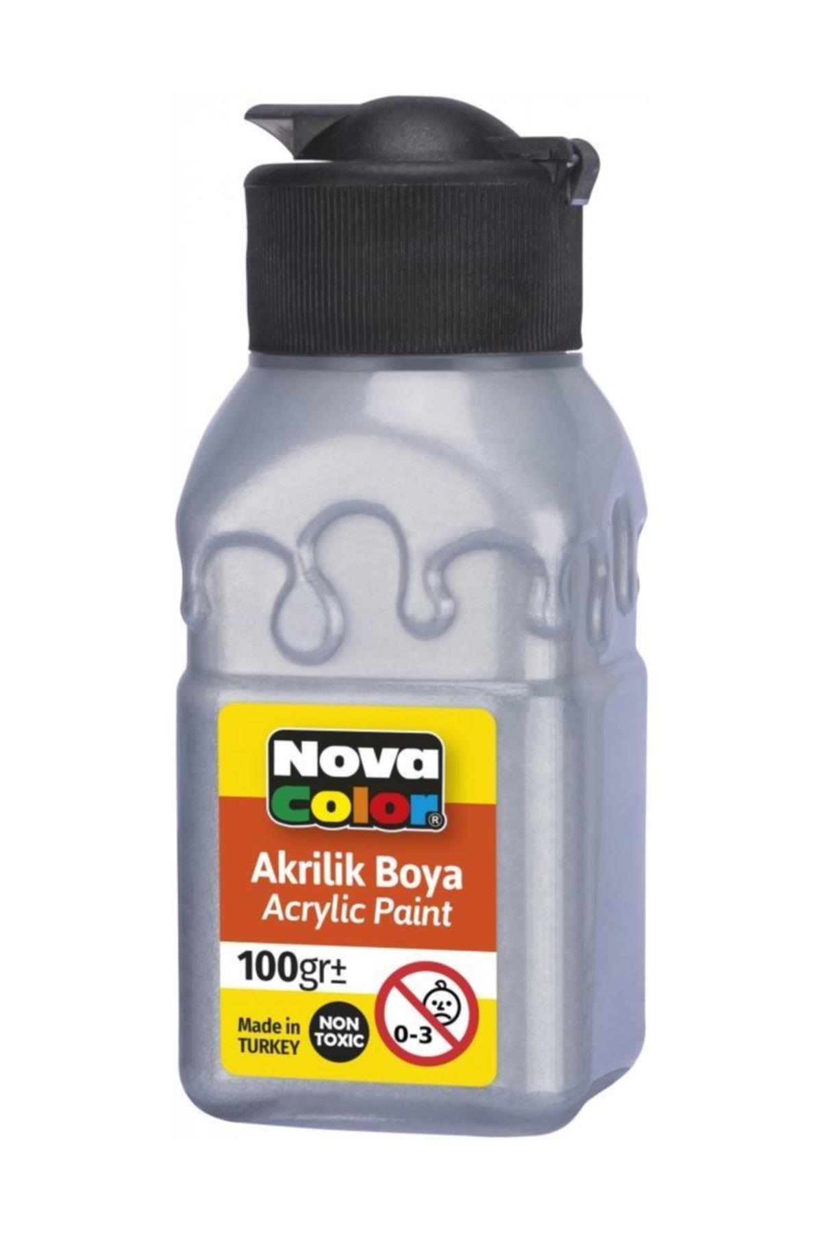 Nova Color Akrilik Boya Şişe 100 Cc Gümüş Nc-2036