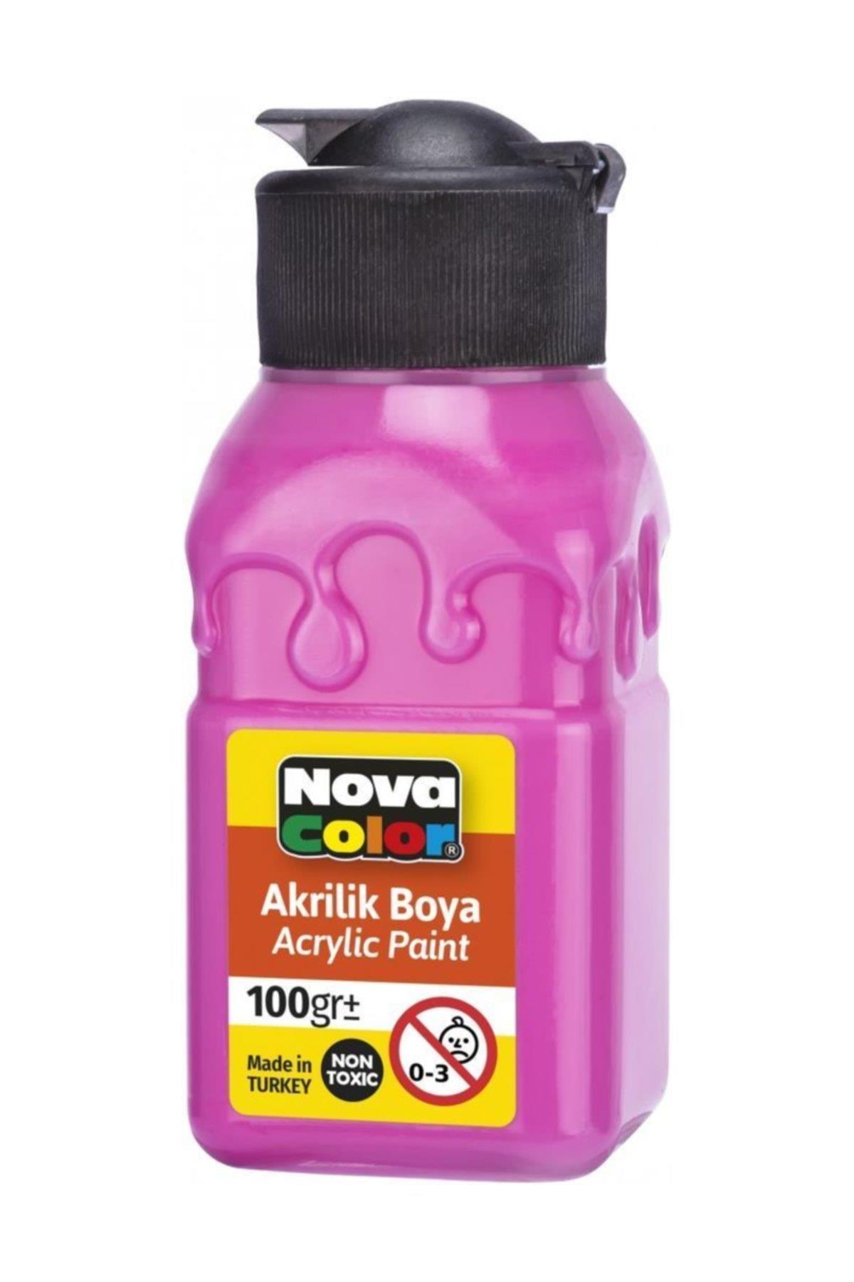 Nova Color Akrilik Boya Şişe 100 Cc Pembe Nc-2019