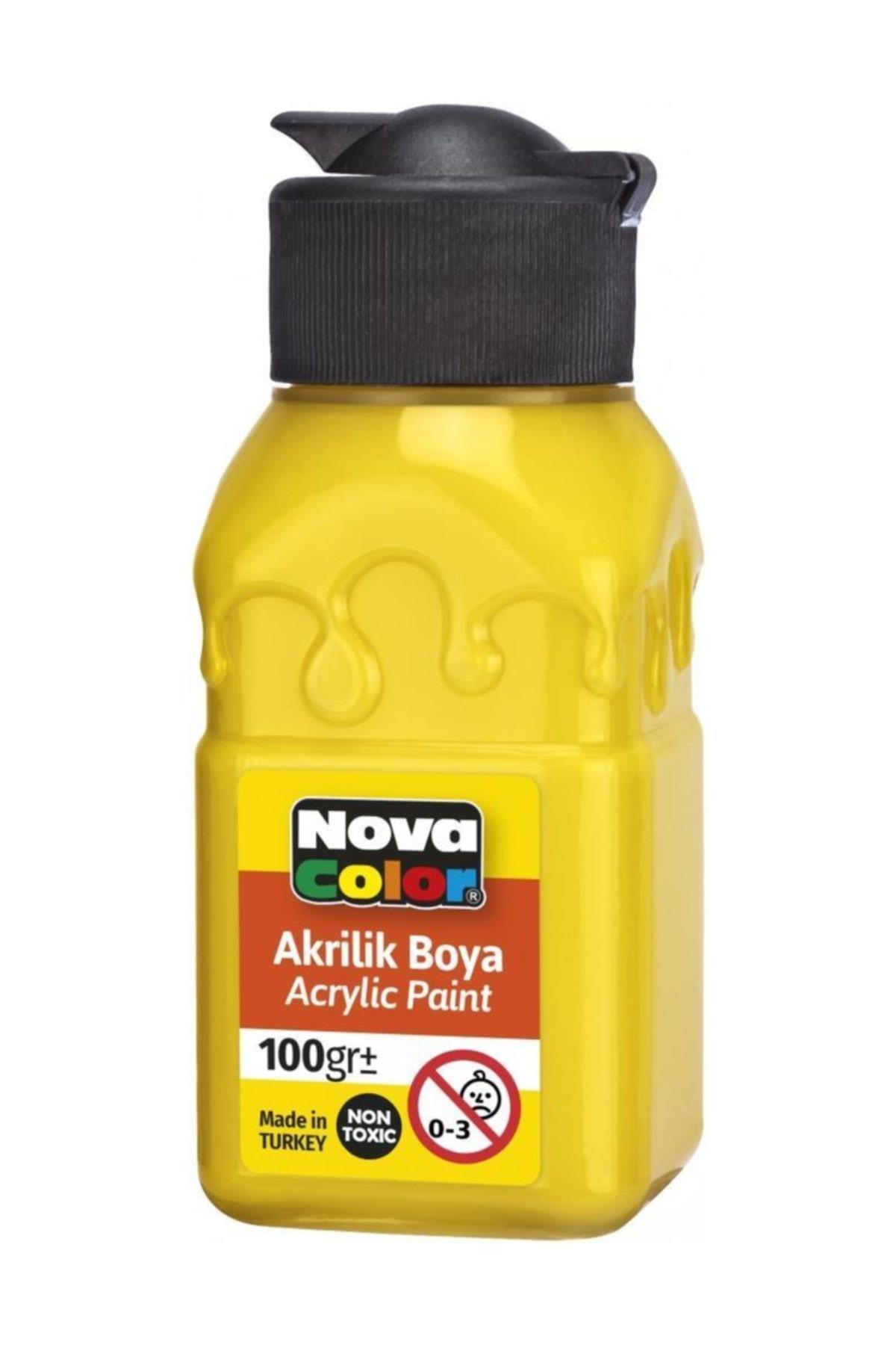 Nova Color Akrilik Boya Şişe 100 Cc Sarı Nc-2010