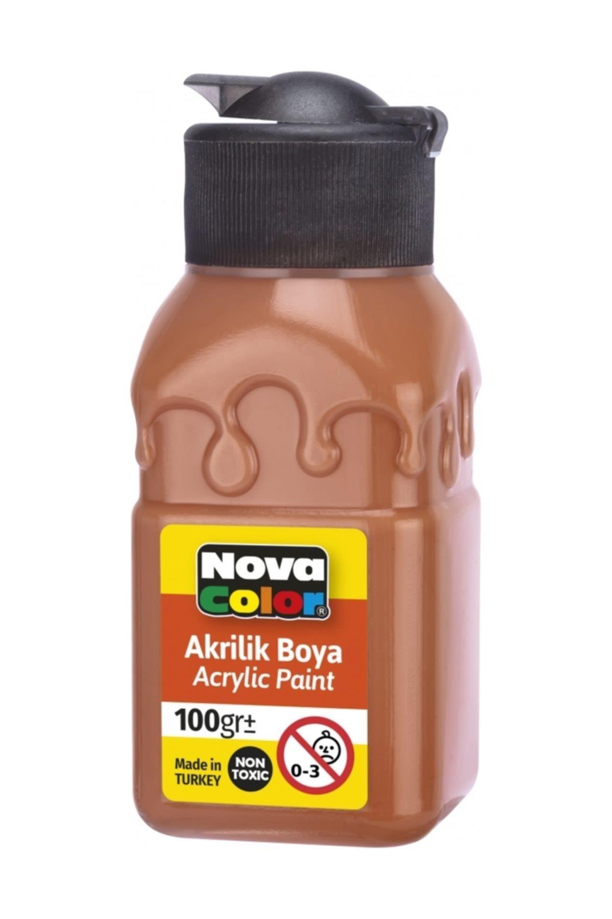 Nova Color Akrilik Boya Şişe 100 Cc Terrakota Nc-2028