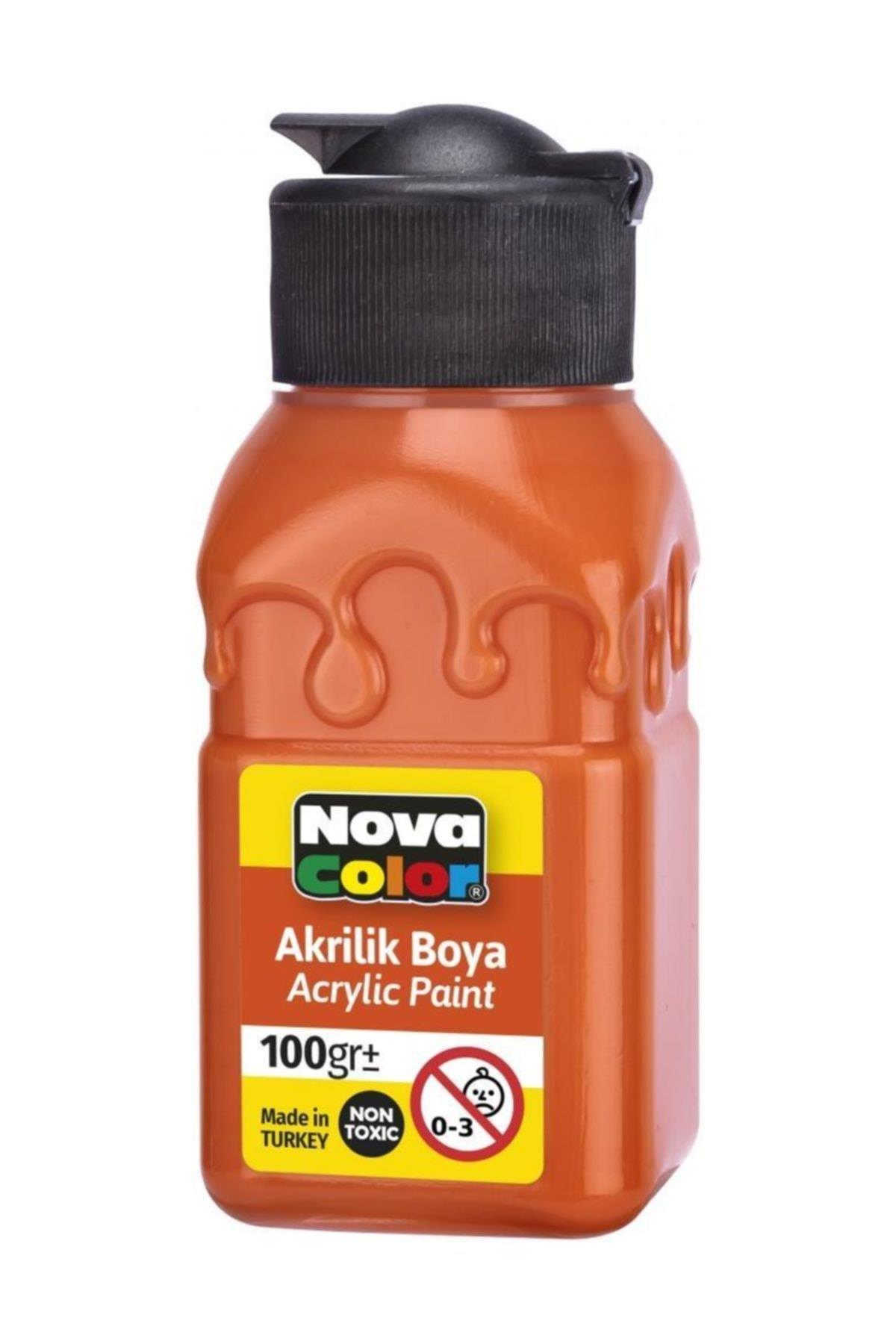 Nova Color Akrilik Boya Şişe 100 Cc Turuncu Nc-2017