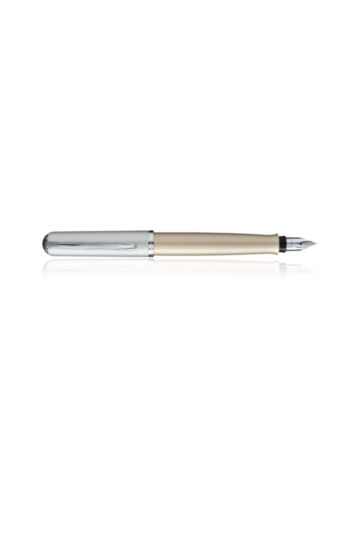 Pelikan Dolma Kalem Dizayn Silver ve Gri Dolma Kalem