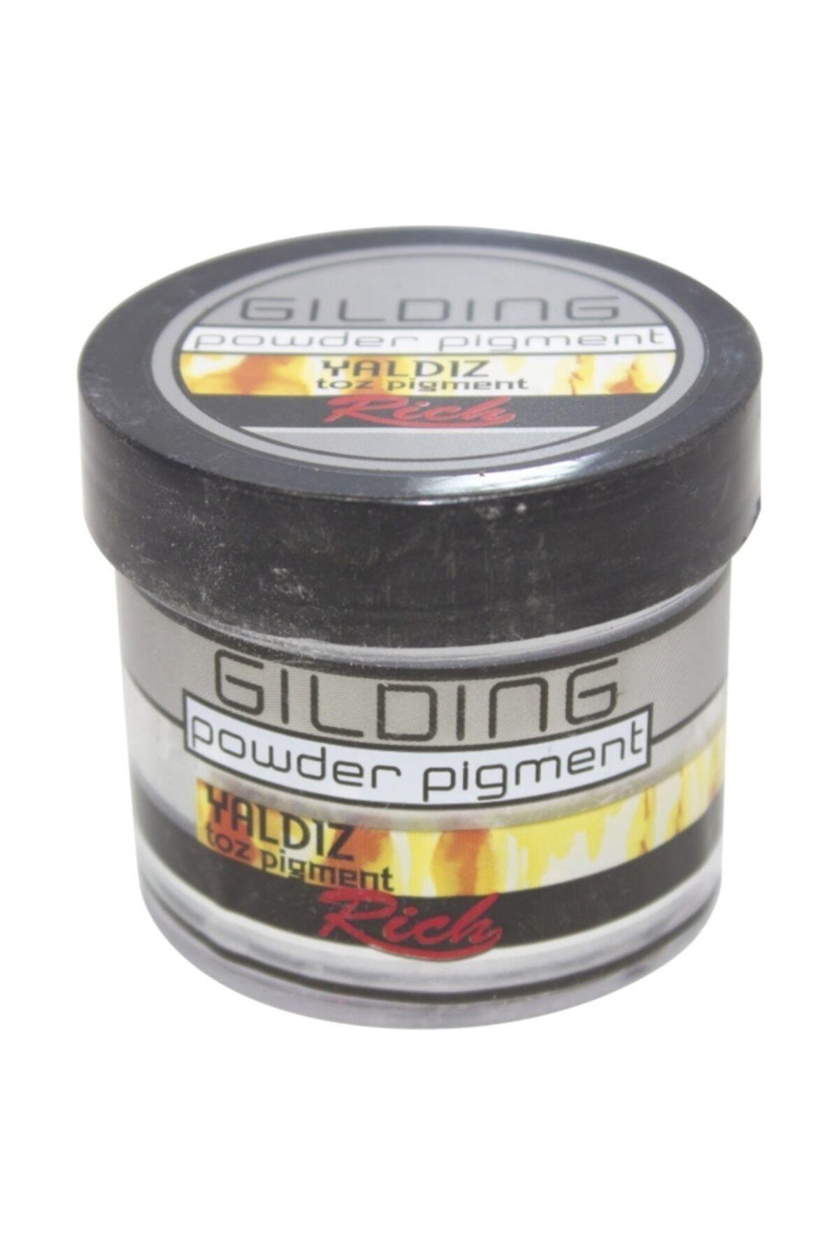 Rich Gilding Powder Yaldız Toz Pigment 60 cc Gümüş