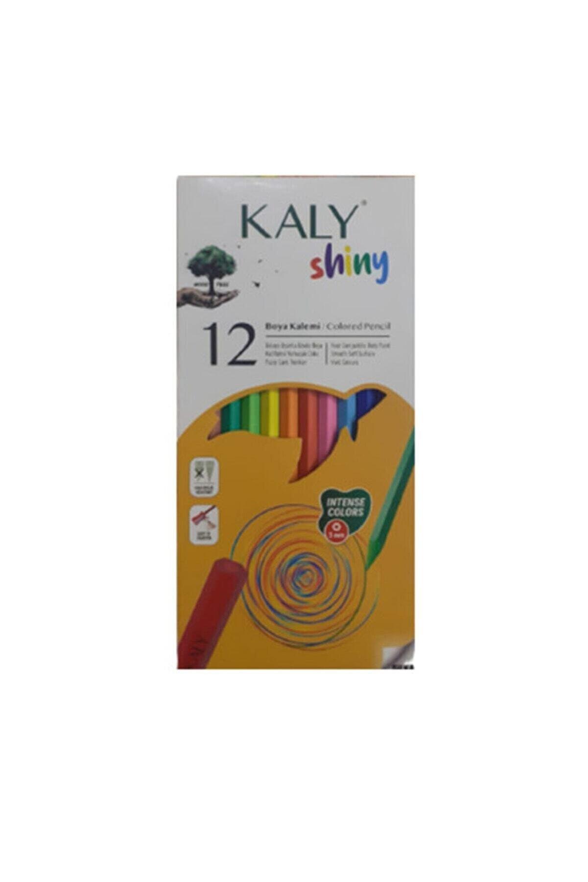 Gıpta Silka Kaly 12 Renk Tam Boy Kuru Boya Seti